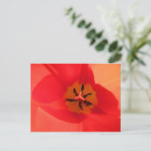 In einem Tulip Postkarte (Stehend Vorderseite)