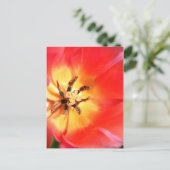 In einem Tulip Postkarte (Stehend Vorderseite)