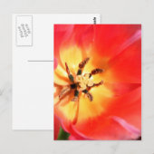 In einem Tulip Postkarte (Vorne/Hinten)