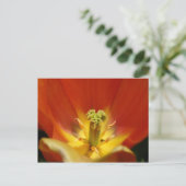 In einem Tulip Postkarte (Stehend Vorderseite)