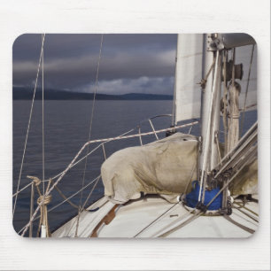 In einen Sturm segeln - Mousepad