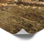 In einer trockenen Landschaft verweilen. Poster (Ecke)