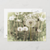 In Einfachheit durchleuchten Postkarte (Vorne/Hinten)