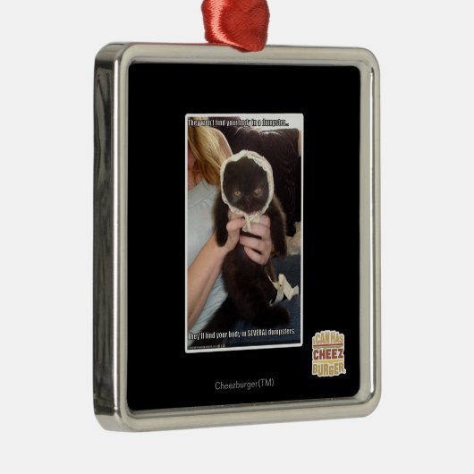 In einigen Müllcontainern Silbernes Ornament (Rechts)