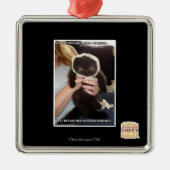 In einigen Müllcontainern Silbernes Ornament (Vorne)