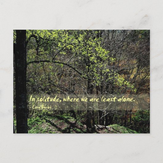 In Einsamkeit... Postkarte (Vorderseite)