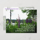 In Ermangelung klar definierter Ziele,w.. Postkarte (Vorne/Hinten)