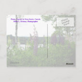 In Ermangelung klar definierter Ziele,w.. Postkarte (Rückseite)