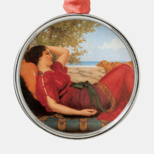 in Extravaganten Gebieten Silbernes Ornament