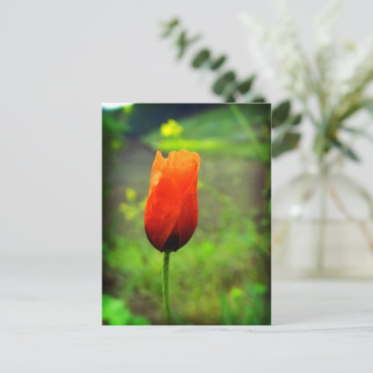 In Flammen Postkarte (Stehend Vorderseite)