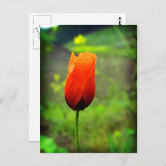 In Flammen Postkarte (Vorne/Hinten)