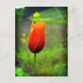 In Flammen Postkarte (Vorderseite)