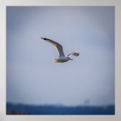 In Flight Poster (Vorne)