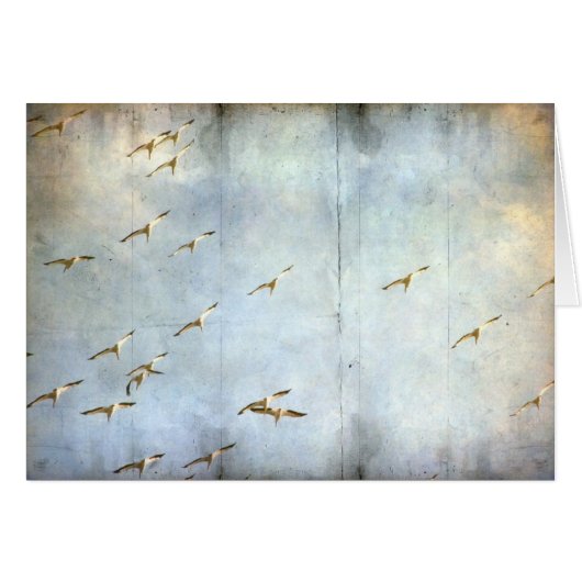 In Flug (Vorderseite (Horizontal))