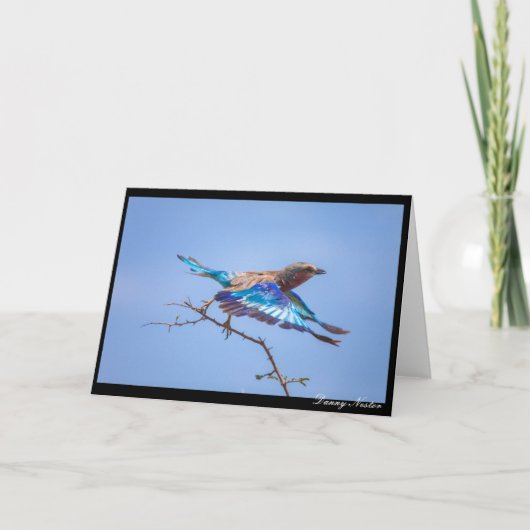 In Flug Karte (Vorderseite)