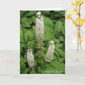 In Friendship's Fragrande Garden Blume Zitat Karte (Gelbe Blume)