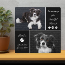 In Gedenken Hund Foto Andenken Erinnerungsstück