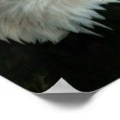 IN GOTT VERTRAUEN WIR POSTER (Ecke)