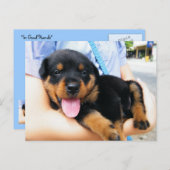 In guten Händen Postkarte (Vorne/Hinten)