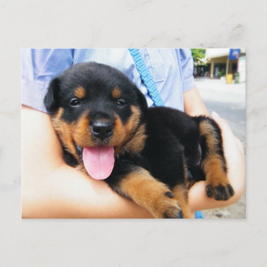 In guten Händen Postkarte (Vorderseite)