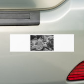In Ihrem Gesicht Autoaufkleber (Auf Auto)