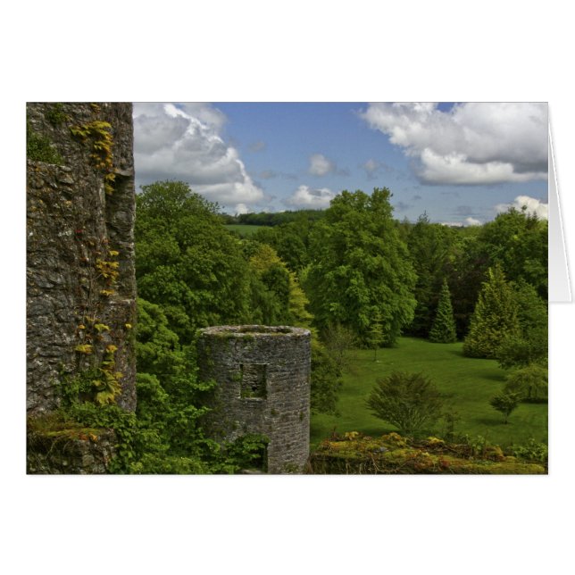 In Irland, auf dem Schloss Blarney, ein Steinturm  (Vorderseite (Horizontal))