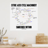 In Krebs eingebettete zitrische Zykturmaschine Poster (Küche)