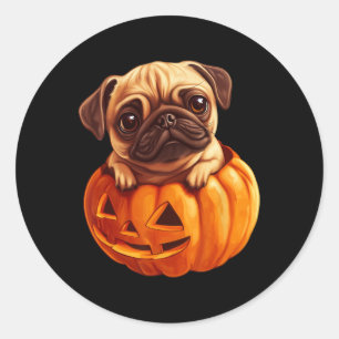 In Kürkin Halloween Pugkin Niedlicher Mops Hallowe Runder Aufkleber