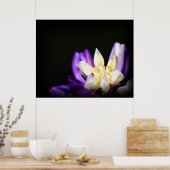 In Liebe mit Lupine Poster (Küche)