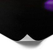 In Liebe mit Lupine Poster (Ecke)