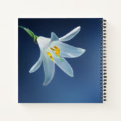 In Love Memory | Beerdigung, Gästebuch Notizblock (Rückseite)