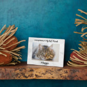 In Love Memory - Cat Memorial Pet Loss Beileid Fotoplatte (Seite)