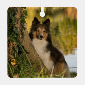 In Love Memory Elegantes Foto Pet Memorial Ornament Aus Metall (Rückseite)