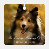 In Love Memory Elegantes Foto Pet Memorial Ornament Aus Metall (Vorderseite)