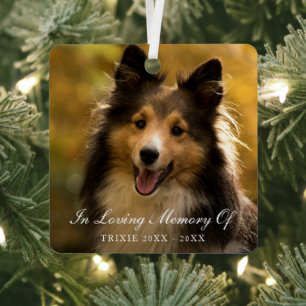 In Love Memory Elegantes Foto Pet Memorial Ornament Aus Metall