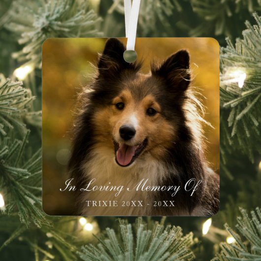 In Love Memory Elegantes Foto Pet Memorial Ornament Aus Metall (InSitu)