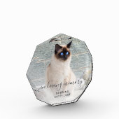 In Love Memory Foto Gray Script Pet Memorial (Links)