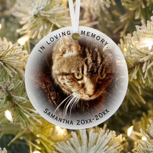 In Love Memory Foto Name Katze Hund Runde Ornament Aus Metall (InSitu)