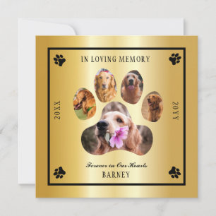 In Love Memory Foto Pet Memorial - Gold Tone Einladung