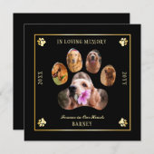 In Love Memory Foto Pet Memorial - Schwarz | Gold Einladung (Vorne/Hinten)