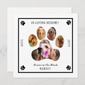 In Love Memory Foto Pet Memorial - White Black Einladung (Vorne/Hinten)