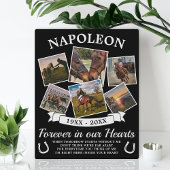 In Love Memory Horse Fotoplatte