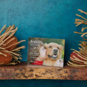 In Love Memory Modern Custom Foto Pet Memorial Fotoplatte (Seite)