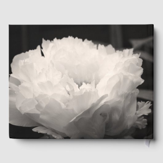 In Love Memory Peony Funeral White Guest Book Gästebuch (Rückseite)