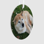 In Love Memory Pet Foto Ornament (Vorderseite)