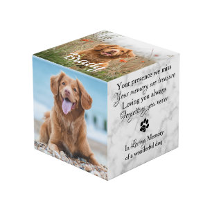 In Love Memory Pet Loss Geschenk Pet Memorial Foto Würfel