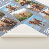 In Love Memory Pet Memorial Foto Collage Sherpadecke (3/4)