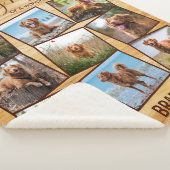 In Love Memory Pet Memorial Foto Collage Sherpadecke (3/4)