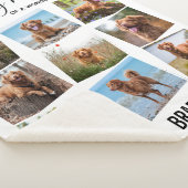 In Love Memory Pet Memorial Foto Collage Sherpadecke (3/4)