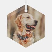 In Love Memory Pet Memorial Simple Modern Foto Ornament Aus Glas (Vorderseite)